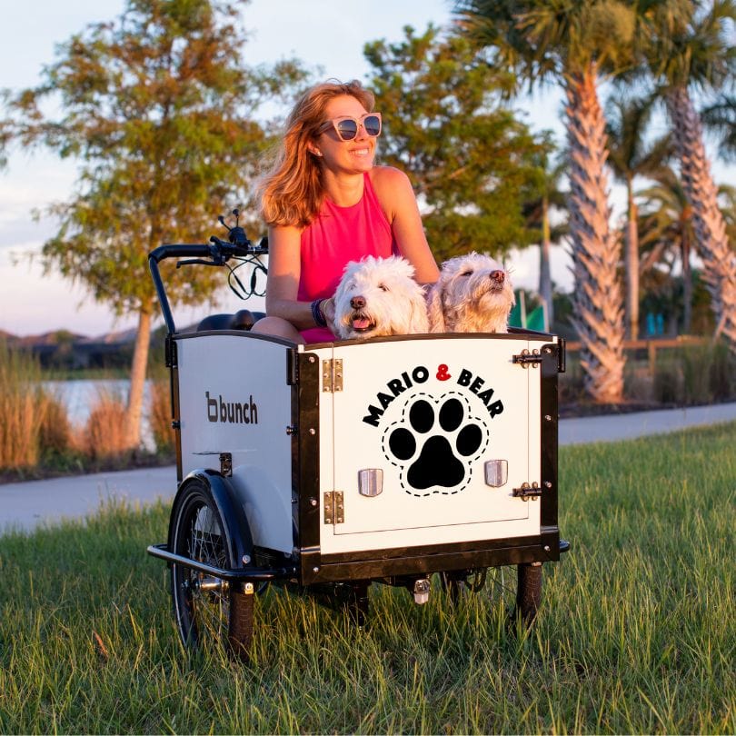 Woman with dog in K9 bunch bike cargo bike  #color_Sleek White