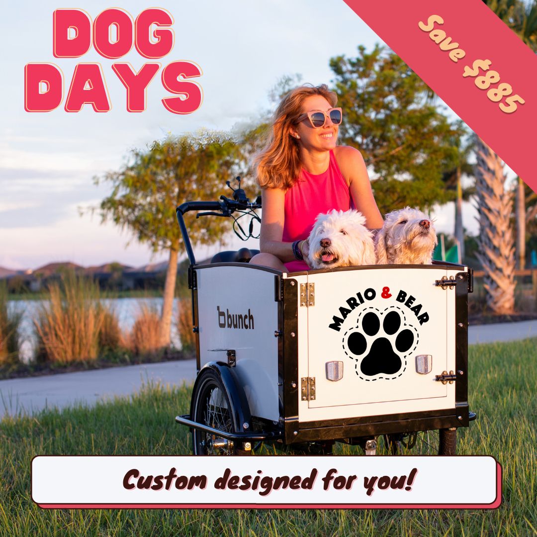 The Dog Days Custom Bundle