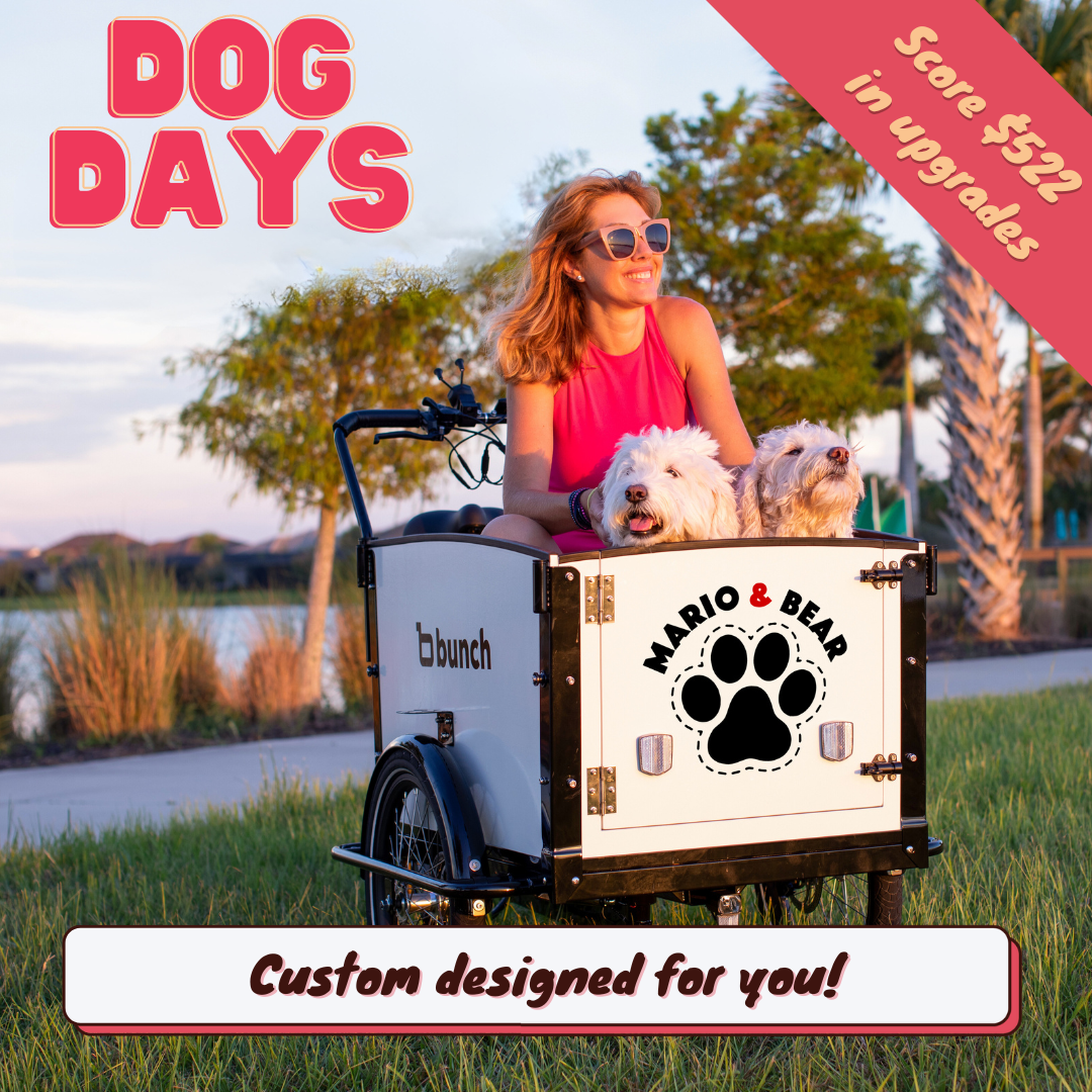 The Dog Days Custom Bundle - FREE!