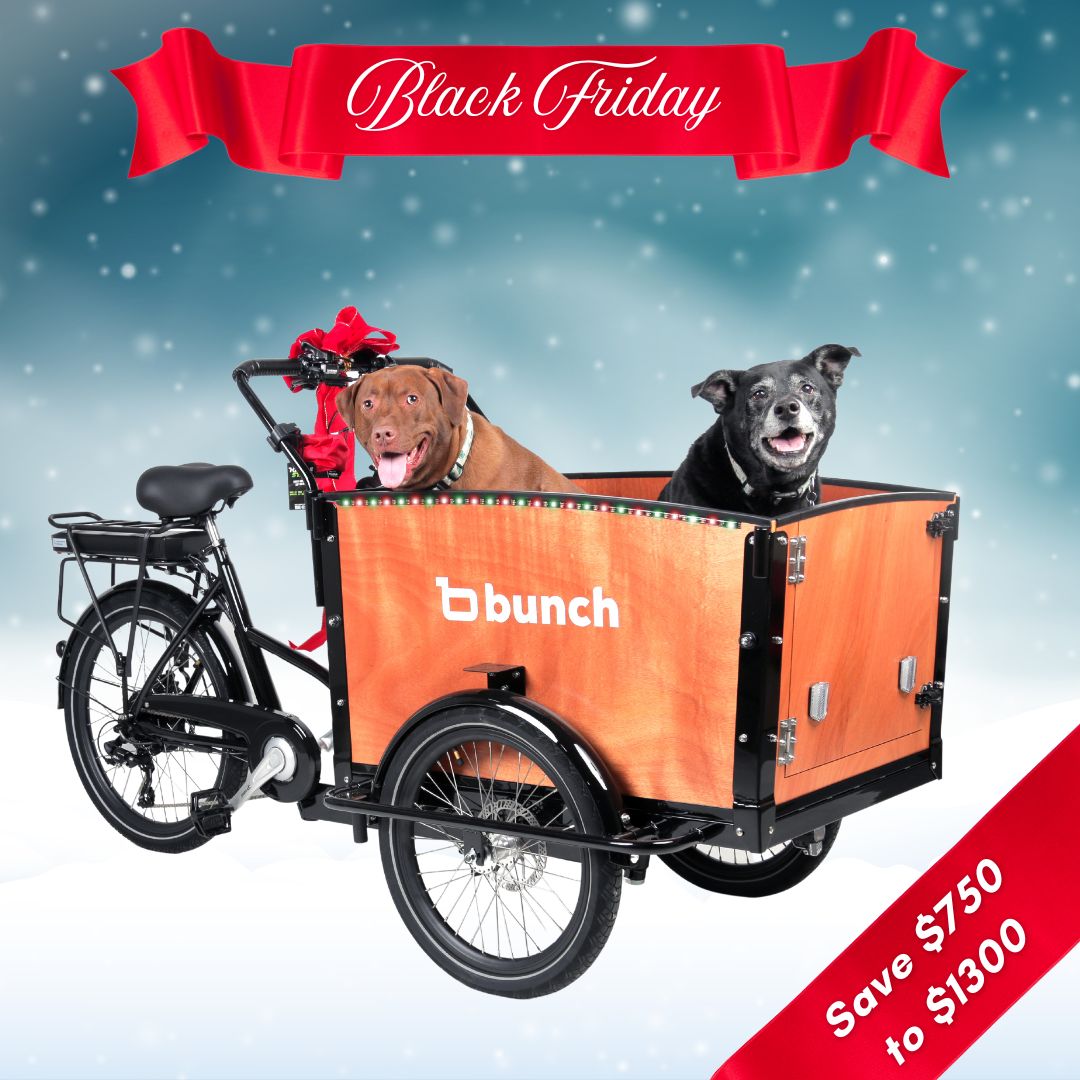 #Your Model_The K9 4+