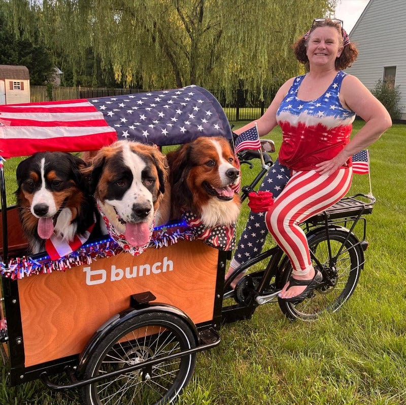 Three big dogs with dog mom on Fourth of July in Bunch K9 cargo bike for dogs - Honey Woodgrain