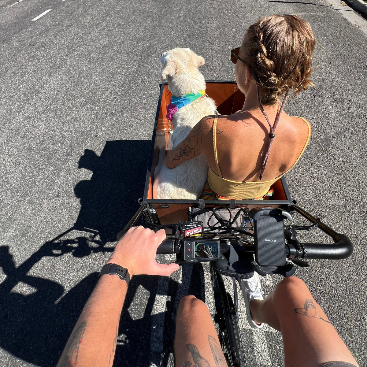 The K9 - Electric Cargo Bike for Dogs: e-Cargo Trike Carries 2+ Dogs