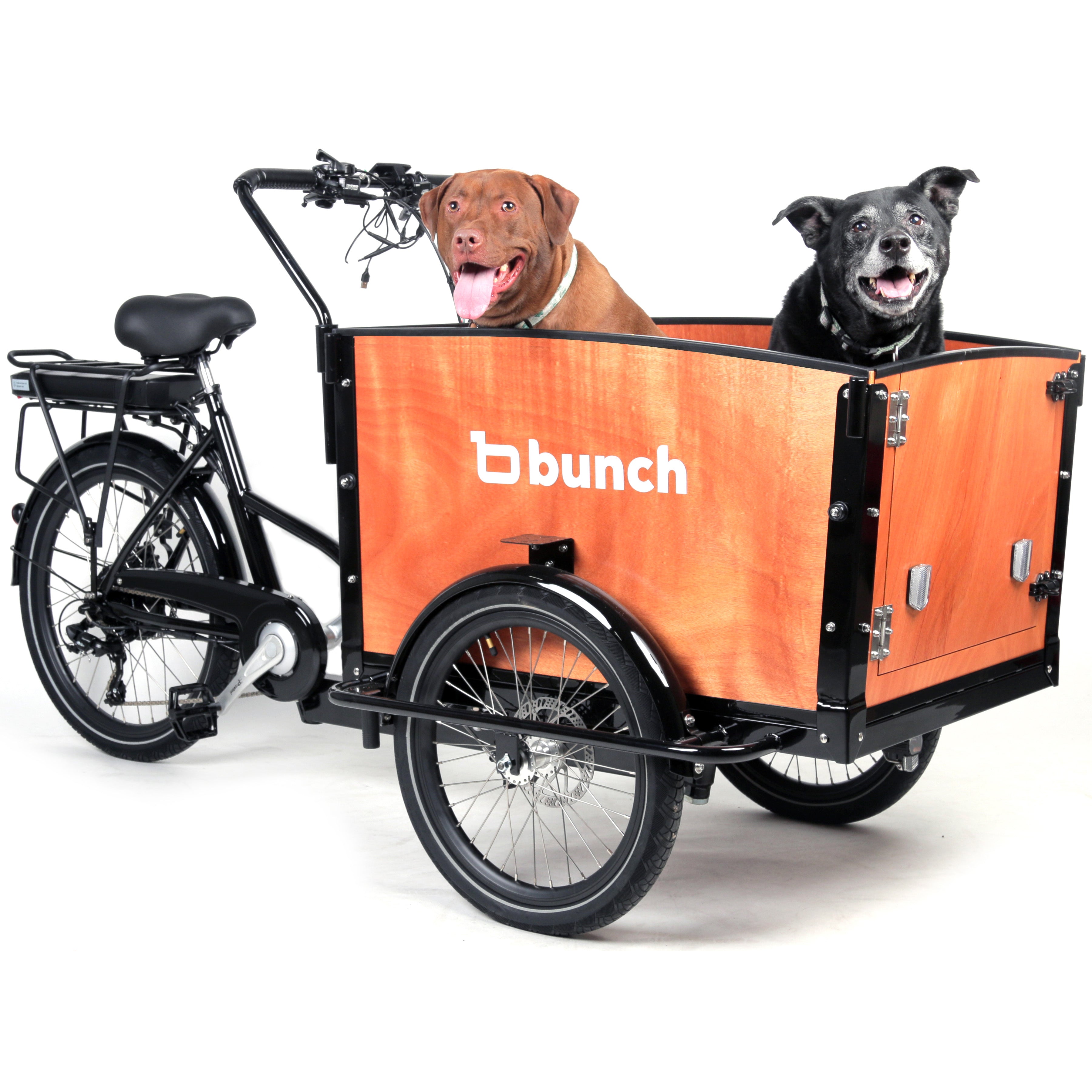 Womens bike with dog cheap basket