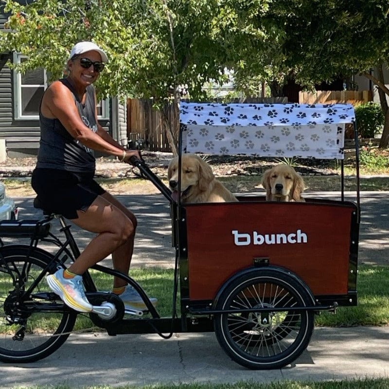 Woman with 2 golden retrievers in K9 bunch bike cargo bike #color_Classic Sedona Woodgrain