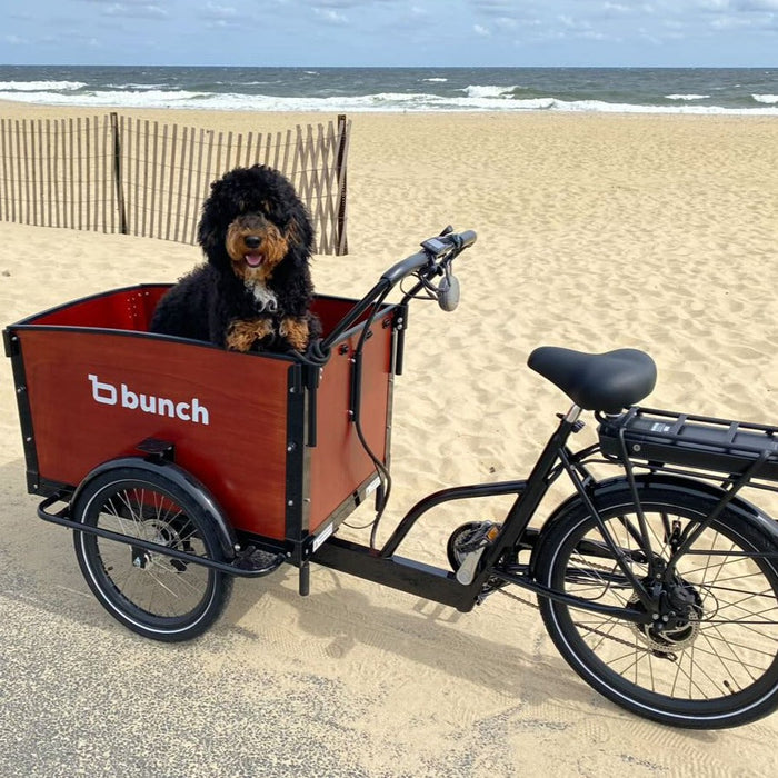 The K9 - Electric Cargo Bike for Dogs: e-Cargo Trike Carries 2+ Dogs