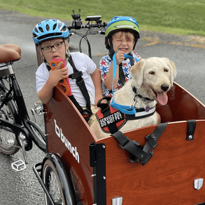 child with down syndrome and sibling with service dog in bunch bike  #color_Classic Sedona Woodgrain