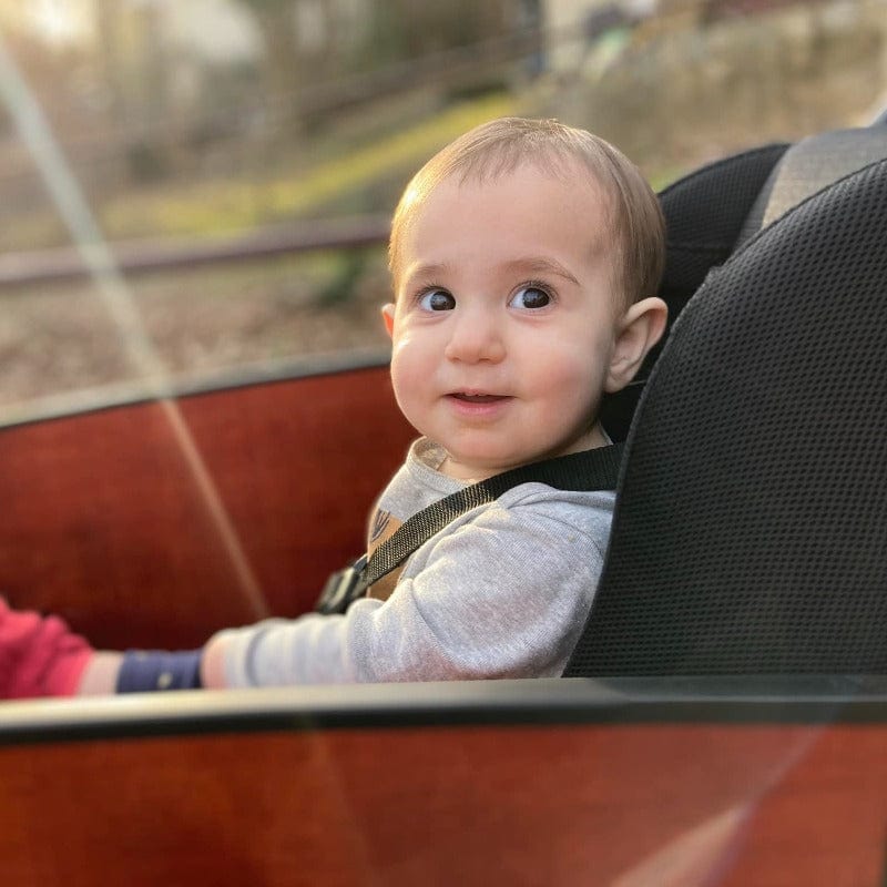 Toddler in toddler seat forward facing