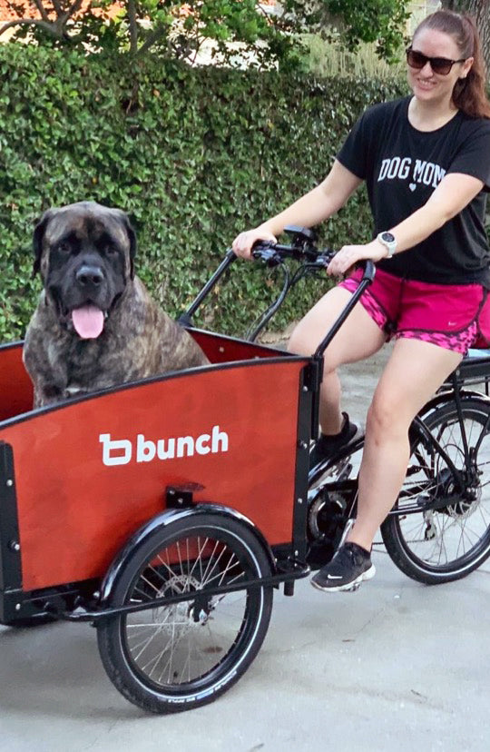 Mastiff discount cargo bike