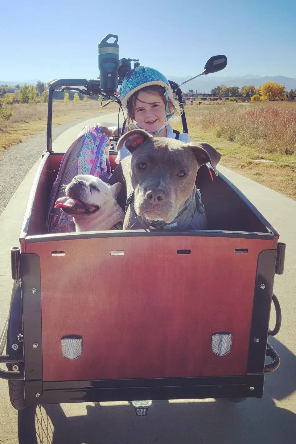 girl and 2 dogs in k9 bunch bike cargo bike for dogs