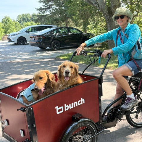 The K9 - Electric Cargo Bike for Dogs: e-Cargo Trike Carries 2+ Dogs
