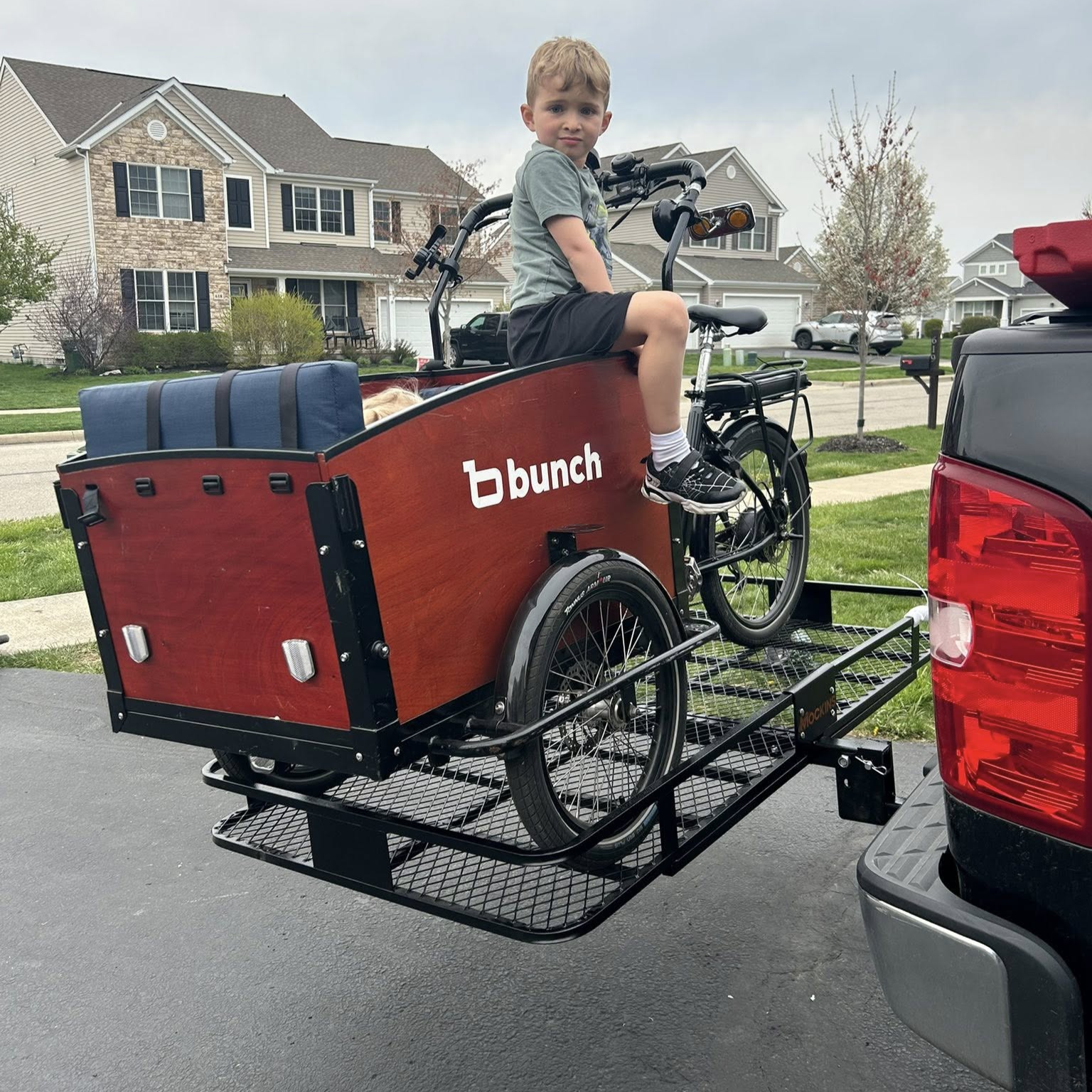 Hitch Carrier Rack For Cargo Bikes