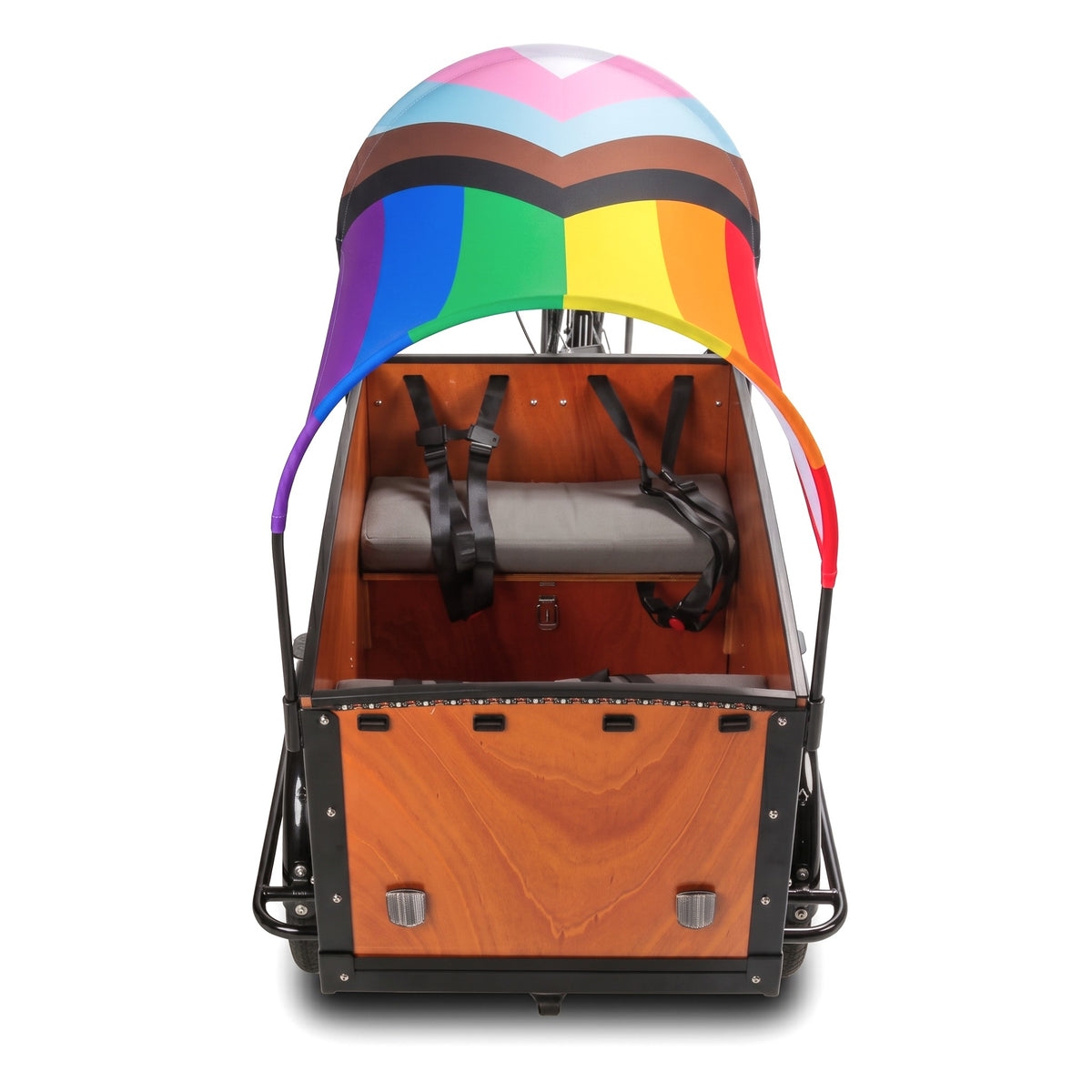 #Color_Pride Flag (Stretch)