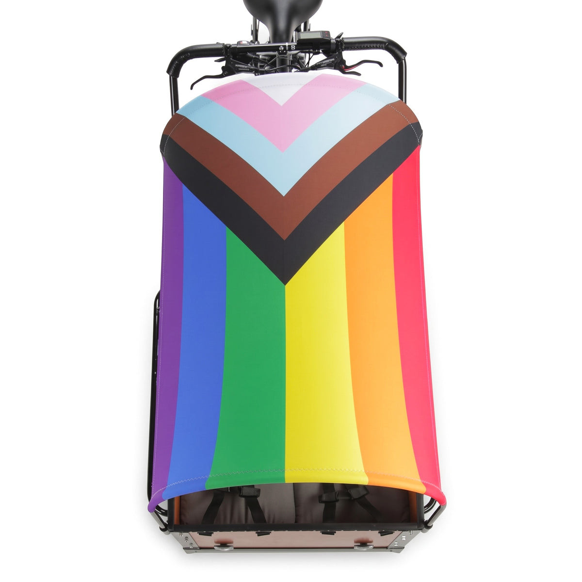 #Color_Pride Flag (Stretch)