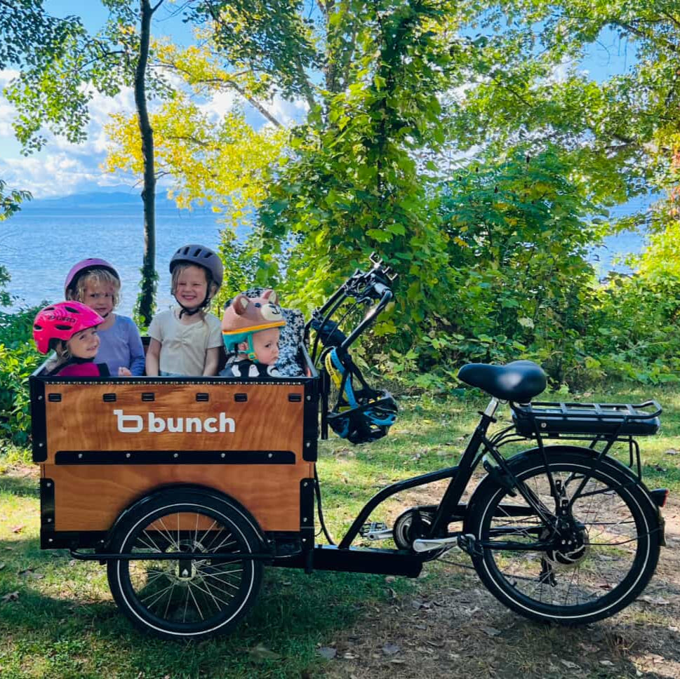 Preschool Bunch Bike #color_Honey Woodgrain