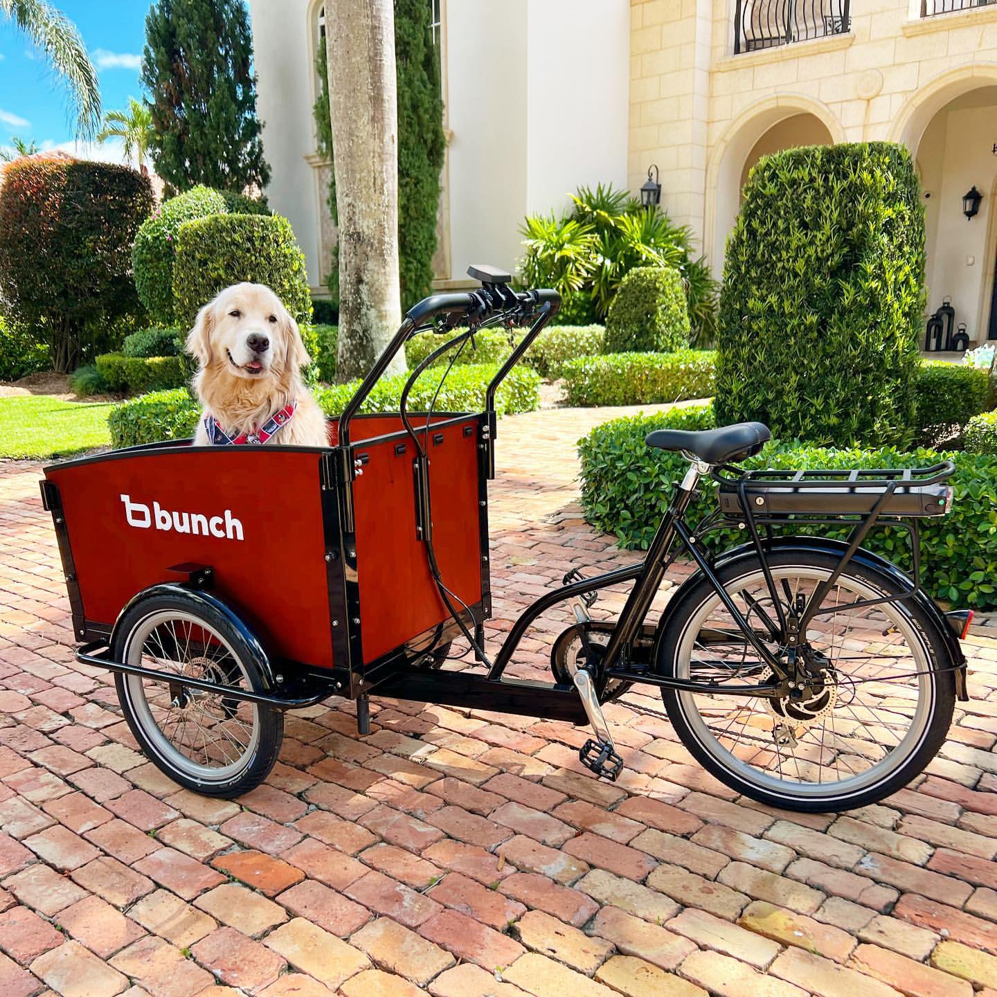 The K9 Electric Cargo Bike for Dogs e Cargo Trike Carries 2 Dogs