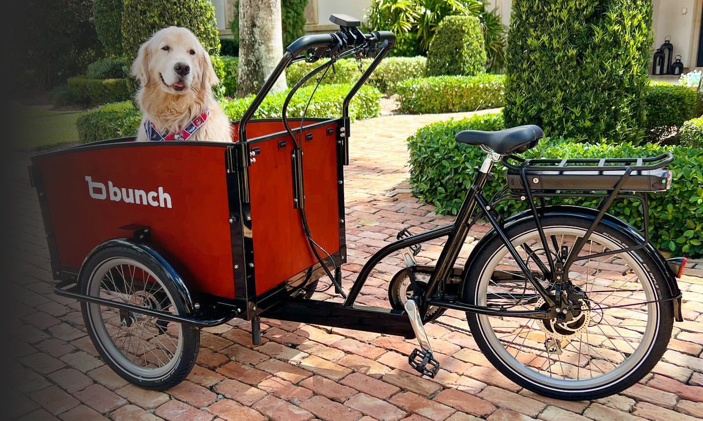 Electric bike discount with dog basket